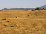 Fotofeeling - Italy, Tuscany, Bales of straw on corn field, Farmstead in background Fotografická reprodukce Fotofeeling - Italy, Tuscany, Bales of straw on corn field, Farmstead in background Fotografická reprodukce