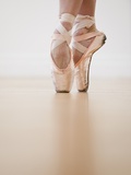 A Female Ballet Dancer Photographic Print
