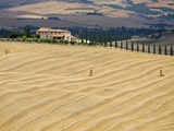 Italy, Tuscany, Harvested corn field, farmstead in background Photographic Print by Fotofeeling 