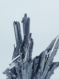 Stibnite crystals, the main ore of Antimony, Bolivia Lámina fotográfica por Dane Johnson