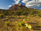 Valley below Mount Kinesava Photographic Print by Michael Deyoung