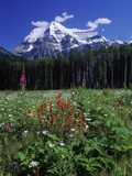 Mount Robson, 3954 M, Highest Peak in Canadian Rockies, British Columbia, Canada. Photographic Print by Chris Cheadle