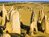 The Pinnacles in Australia Photographic Print by David Sutherland
