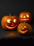 Three Jack-o'-lanterns Photographic Print by William Brady