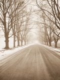 Peaceful Country Road in Rural Michigan Photographie par Tom Marks