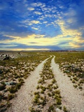 Dirt Road in Grand Canyon National Park Photographic Print by Craig Aurness