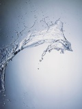 Water Splash Photographic Print by Taro Yamada
