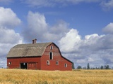 Old Barn Near Devon, Alberta, Canada Photographic Print by Darwin Wiggett