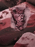 Carnitine Lámina fotográfica