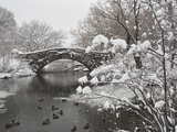 Lake and bridge in winter Photographic Print by Fotog 