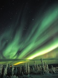 Aurora Borealis or Northern Lights, Yukon. Photographie par Robert Postma