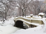 Snow covered bridge Photographic Print by Fotog 