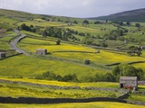 Stone barns and walls in fields Photographic Print by Steven Vidler