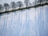 Park Covered in Snow Fotografisk trykk av Scott Barrow