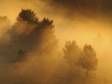 Landscape in dzembronya area in ukraine at dawn Photographic Print by Yevgen Timashov