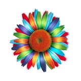Brightly colored daisy Giclee Print