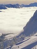 Skier Skiing Fresh Deep Powder in Backcountry Near Fernie, East Kootenays, British Columbia, Canada Photographic Print by Henry Georgi