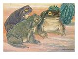 A view of three Colorado River toads. Giclee Print by National Geographic Society 
