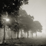 Sun shining through morning mist Fotografisk tryk af Kurt Stier
