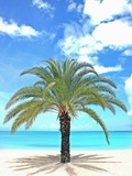 Palm tree on tropical beach Photographic Print by Alfred Saerchinger Palm tree on tropical beach Photographic Print by Alfred Saerchinger