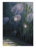 A painting of rainbow-jellies, Mnemiopsis leidyi, floating in water Giclee Print by William H. Crowder