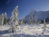 Mount Chephren and Mistaya Valley in Winter, Banff National Park, Alberta, Canada Photographic Print by Darwin Wiggett