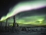 Multi coloured Aurora, Eagle Plains, Yukon Photographic Print by Robert Postma