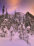 Snow Covered Trees at Lake Louise, Banff National Park, Alberta Canada Photographie par Darwin Wiggett
