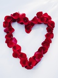 Heart shape made of petals Photographic Print