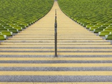 Stadium stairway between rows of green seats Photographie par Michael Kai