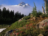 Blooming Indian Paintbrush at Mt. Jefferson Photographic Print by Craig Tuttle