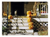 11 Pine Giclee Print by Reynard Milici