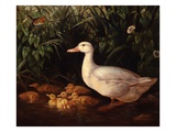 New Brood Giclee Print by Edward Neale New Brood Giclee Print by Edward Neale