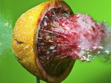 Bloody Mayhem Photographic Print by Alan Sailer