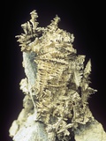 Native Silver (Ag) on limestone, Canada Lámina fotográfica por Mark Schneider