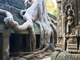 José Fuste Raga - Tree roots overtaking Ta Prohm at Angkor - Fotografik Baskı José Fuste Raga - Tree roots overtaking Ta Prohm at Angkor - Fotografik Baskı