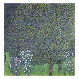 Roses under the Trees Reproduction procédé giclée par Gustav Klimt