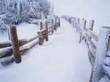 Snow-covered Path in Crater Lake National Park Lámina fotográfica por Steve Terrill