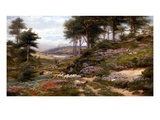 Through the Heather, Dunkeld, Scotland, United Kingdom Giclée-Druck von George Vicat Cole