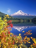 Autumn Leaves Growing Near Mount Hood and Trillium Lake Photographic Print by Craig Tuttle