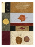 Essential Nature, Block 3A Giclee Print by Phillip Jaeger