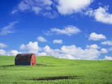 Old Barn Amidst Pea Field Photographic Print by Terry Eggers