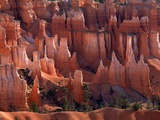 Queen's Garden Hoodoos Photographic Print by David Muench