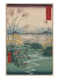 Otsuki Fields in Kai Province Photographie par Ando Hiroshige