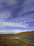 Cirrus and Cumulus Clouds Above Autumn Tundra in Denali National Park Photographic Print by John Eastcott & Yva Momatiuk