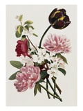 A Bouquet of Tulip and Peonies Giclee Print by Jean Louis Prevost