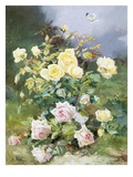 A Still Life of Pink and Yellow Roses Giclee Print by Alexandre Debrus