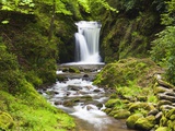 Geroldsauer Waterfall in Grobbach Valley in the Black Forest Fotografisk tryk af Frank Lukasseck