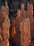 Limestone Hoodoos from Fairyland Point Photographic Print by David Muench