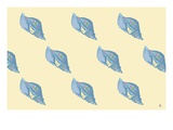 Shells 3 Giclee Print by Steve Collier